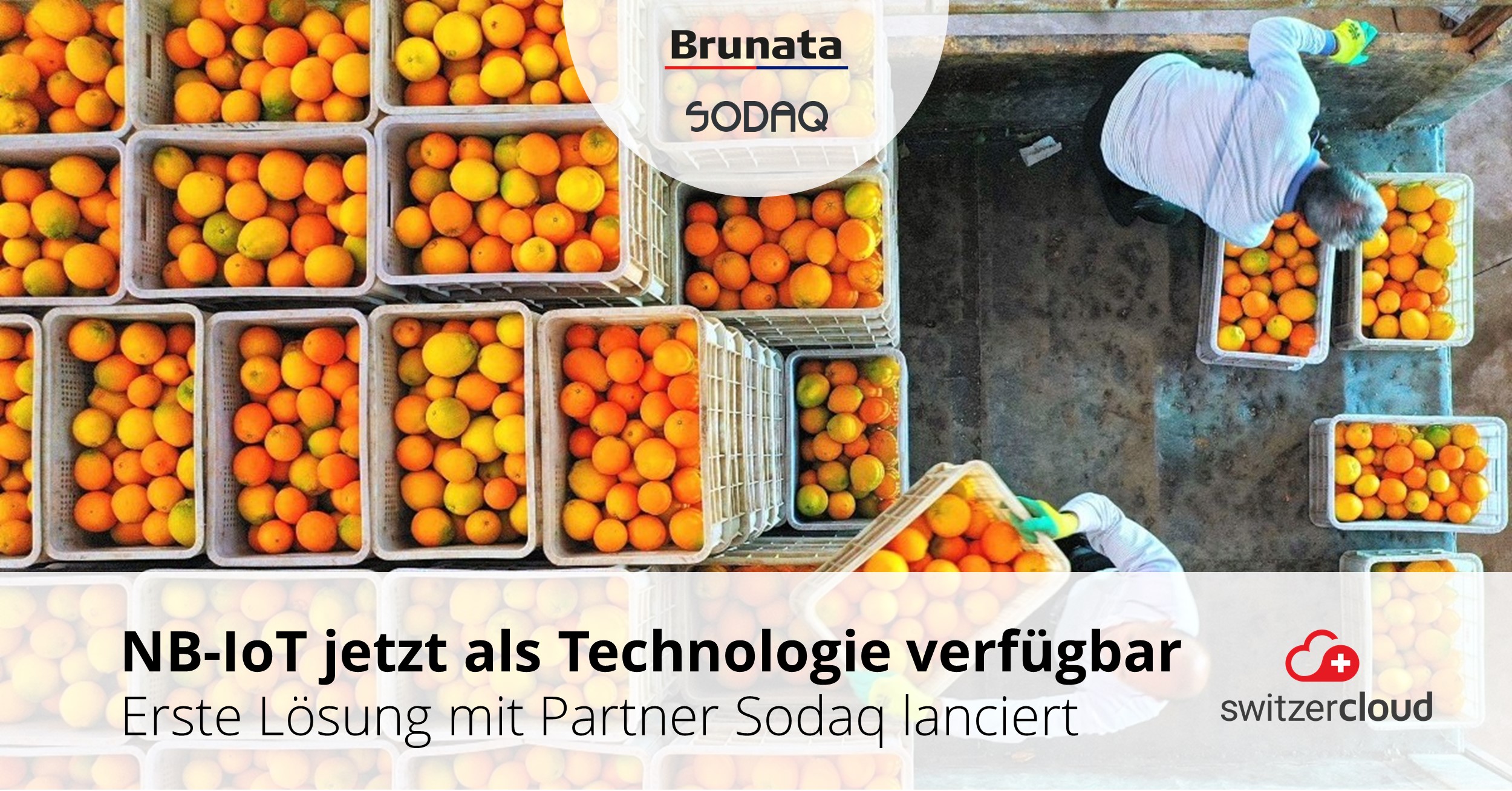SODAQ und Brunata bieten europaweites Tracking auf der Switzercloud