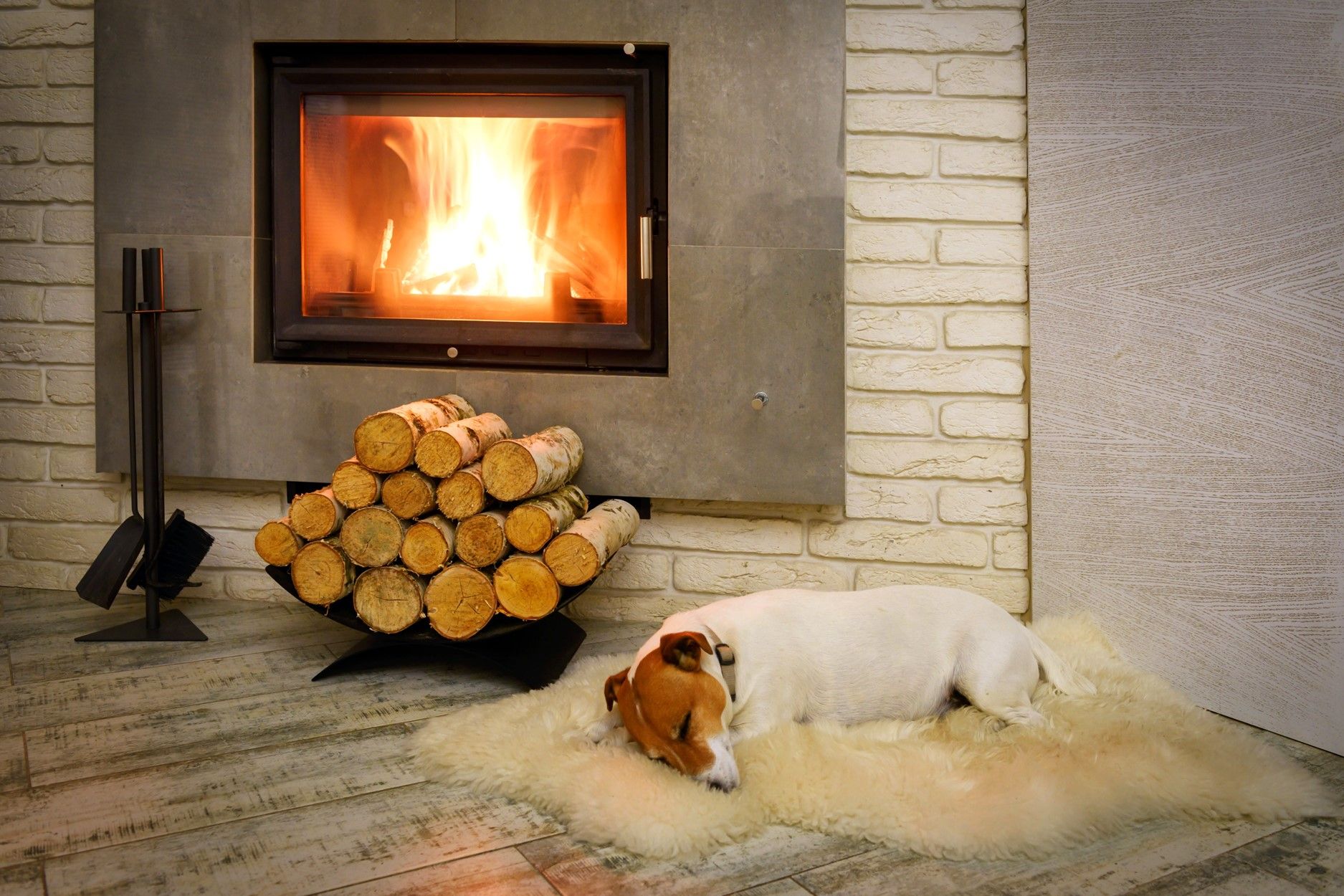 Stack, Dog and Fire